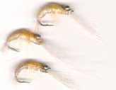 crevettes_miniature ! Cliquez sur la photo pour voir leur vraie taille